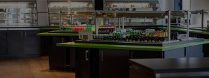 Restaurant Lika - Ponuda jela i pića